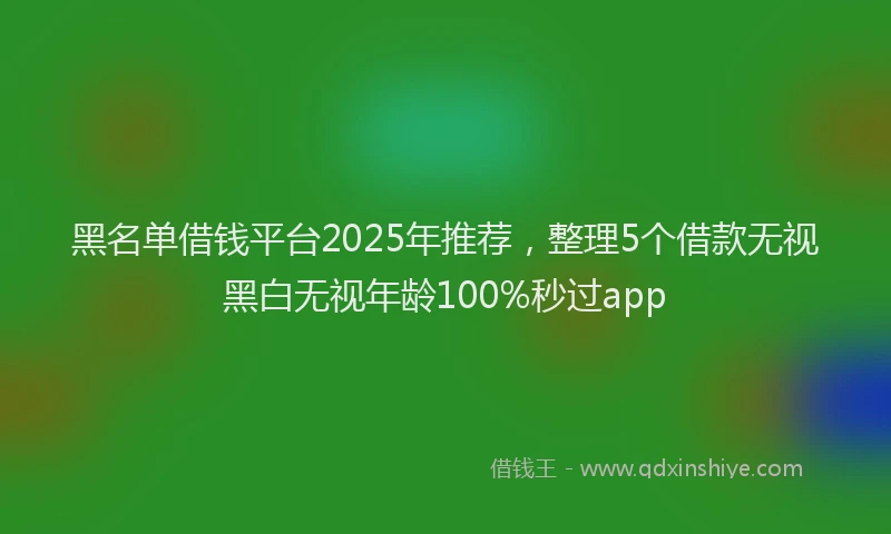 黑名单借钱平台2025年推荐，整理5个借款无视黑白无视年龄100%秒过app