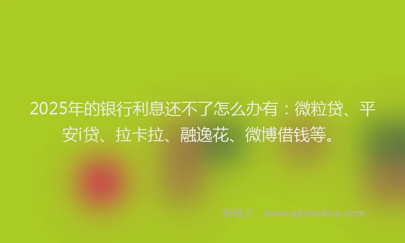 2025年的银行利息还不了怎么办有：微粒贷、平安i贷、拉卡拉、融逸花、微博借钱等。