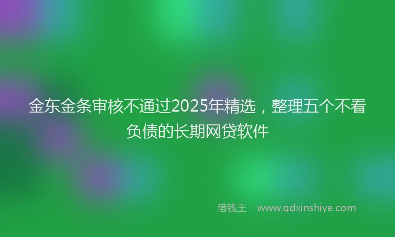 金东金条审核不通过2025年精选，整理五个不看负债的长期网贷软件