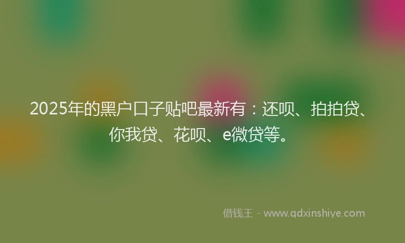 2025年的黑户口子贴吧最新有：还呗、拍拍贷、你我贷、花呗、e微贷等。