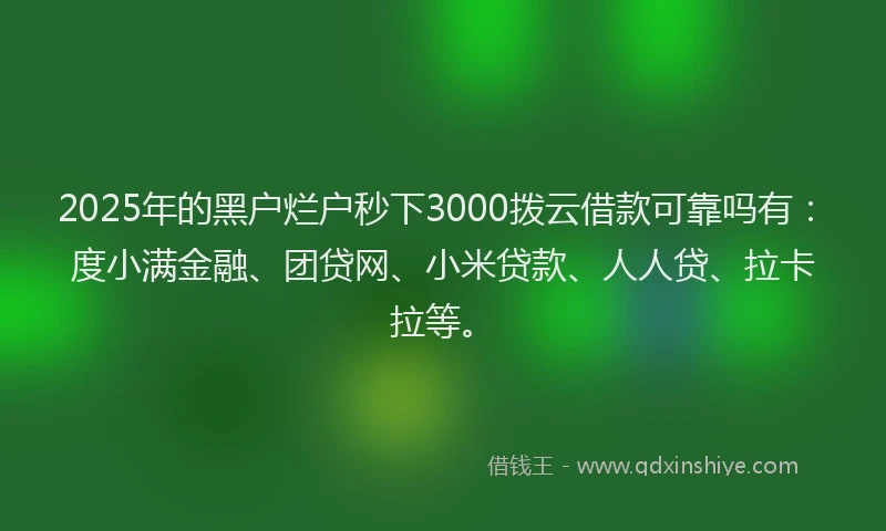 2025年的黑户烂户秒下3000拨云借款可靠吗有：度小满金融、团贷网、小米贷款、人人贷、拉卡拉等。