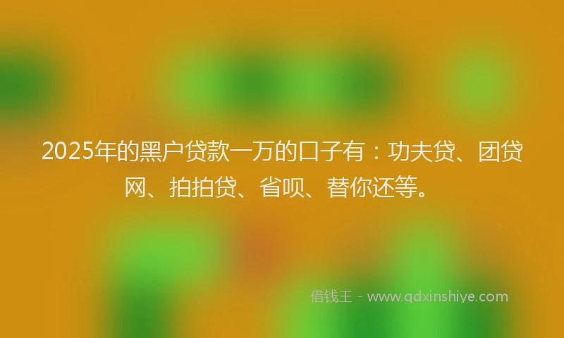 2025年的黑户贷款一万的口子有：功夫贷、团贷网、拍拍贷、省呗、替你还等。