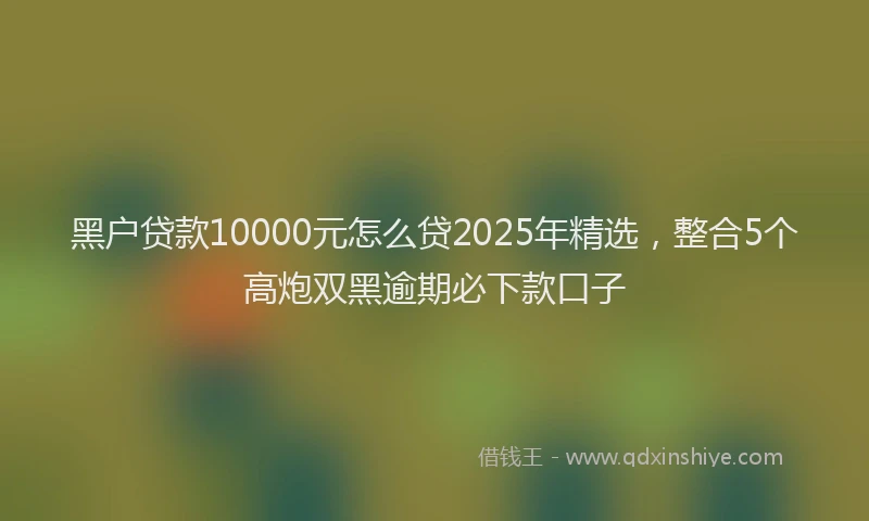 黑户贷款10000元怎么贷2025年精选，整合5个高炮双黑逾期必下款口子