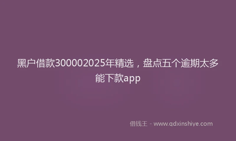 黑户借款300002025年精选，盘点五个逾期太多能下款app