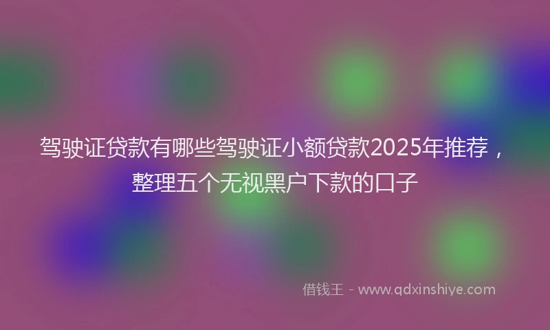 驾驶证贷款有哪些驾驶证小额贷款2025年推荐，整理五个无视黑户下款的口子
