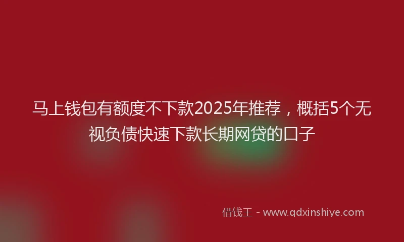马上钱包有额度不下款2025年推荐，概括5个无视负债快速下款长期网贷的口子