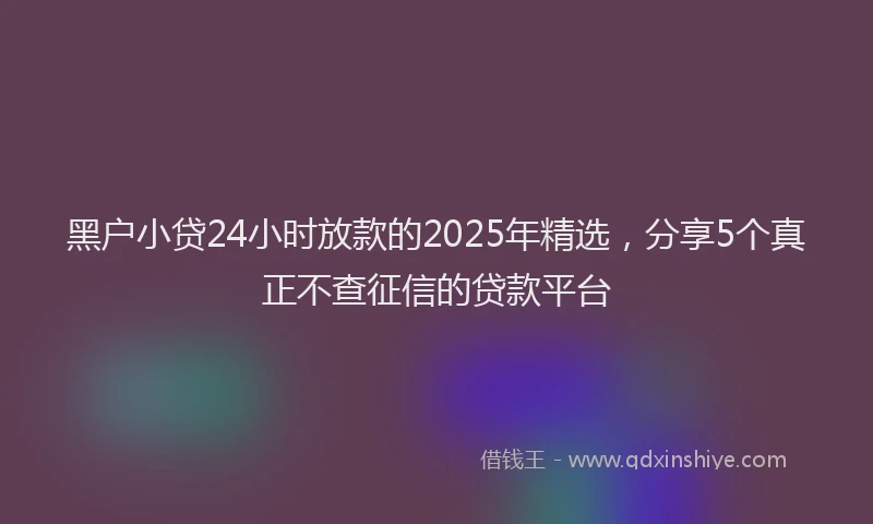 黑户小贷24小时放款的2025年精选，分享5个真正不查征信的贷款平台