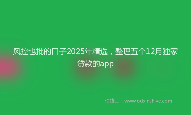 风控也批的口子2025年精选，整理五个12月独家贷款的app