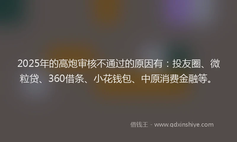 2025年的高炮审核不通过的原因有：投友圈、微粒贷、360借条、小花钱包、中原消费金融等。
