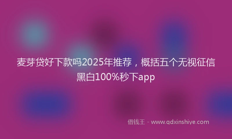 麦芽贷好下款吗2025年推荐，概括五个无视征信黑白100%秒下app