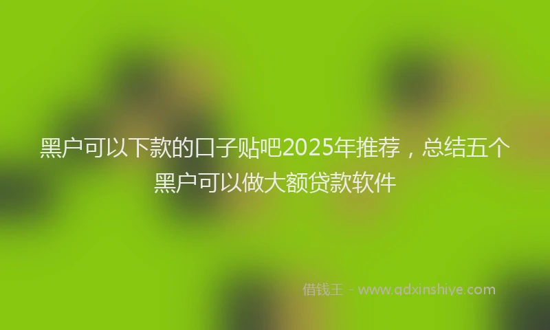 黑户可以下款的口子贴吧2025年推荐，总结五个黑户可以做大额贷款软件