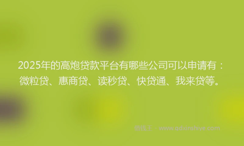 2025年的高炮贷款平台有哪些公司可以申请有：微粒贷、惠商贷、读秒贷、快贷通、我来贷等。