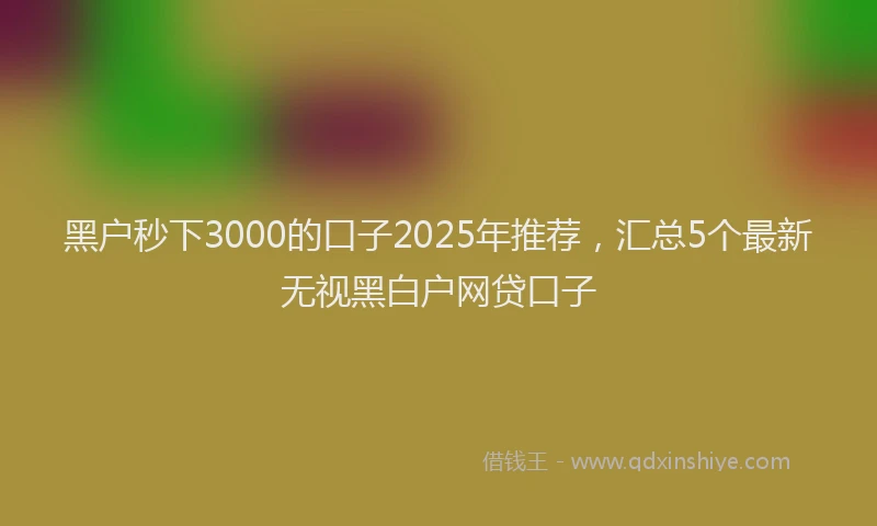 黑户秒下3000的口子2025年推荐，汇总5个最新无视黑白户网贷口子