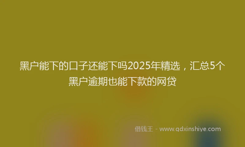 黑户能下的口子还能下吗2025年精选，汇总5个黑户逾期也能下款的网贷
