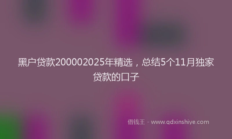 黑户贷款200002025年精选，总结5个11月独家贷款的口子
