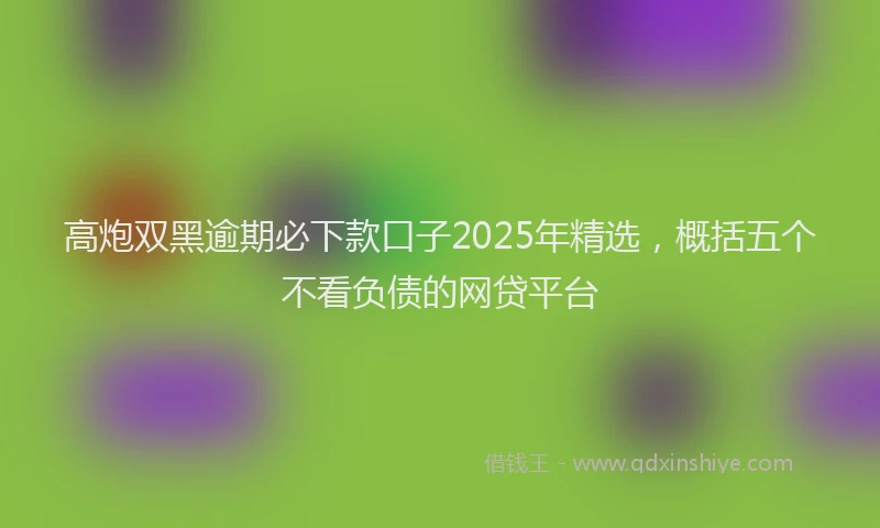 高炮双黑逾期必下款口子2025年精选，概括五个不看负债的网贷平台