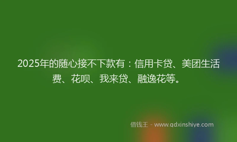 2025年的随心接不下款有：信用卡贷、美团生活费、花呗、我来贷、融逸花等。