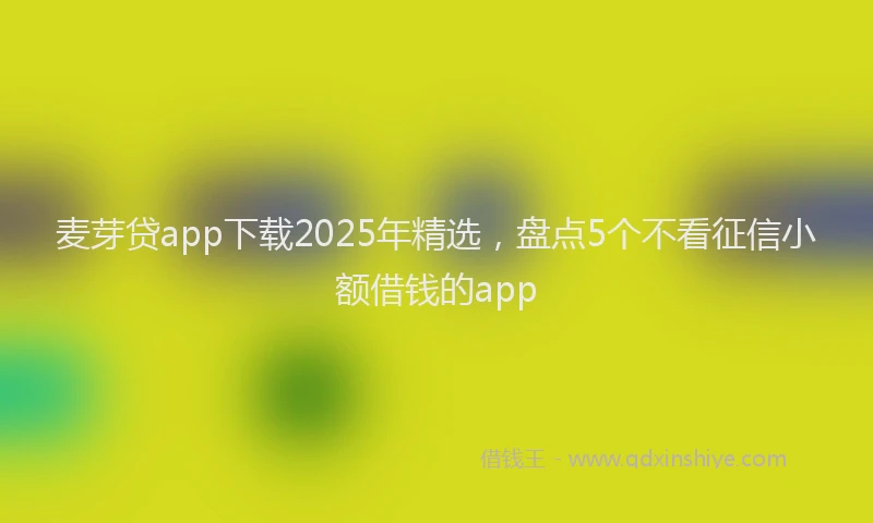 麦芽贷app下载2025年精选，盘点5个不看征信小额借钱的app