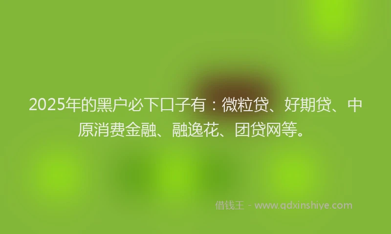 2025年的黑户必下口子有：微粒贷、好期贷、中原消费金融、融逸花、团贷网等。