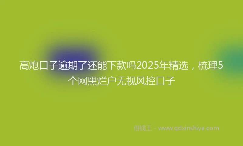 高炮口子逾期了还能下款吗2025年精选，梳理5个网黑烂户无视风控口子