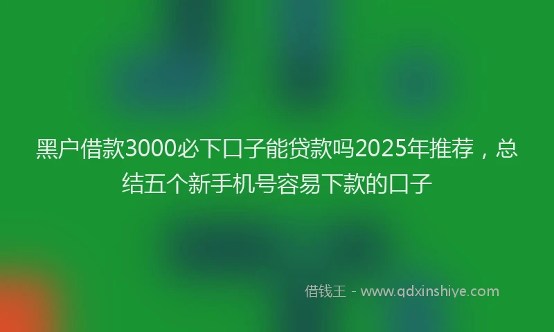 黑户借款3000必下口子能贷款吗2025年推荐，总结五个新手机号容易下款的口子