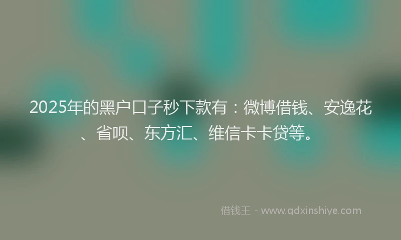 2025年的黑户口子秒下款有：微博借钱、安逸花、省呗、东方汇、维信卡卡贷等。