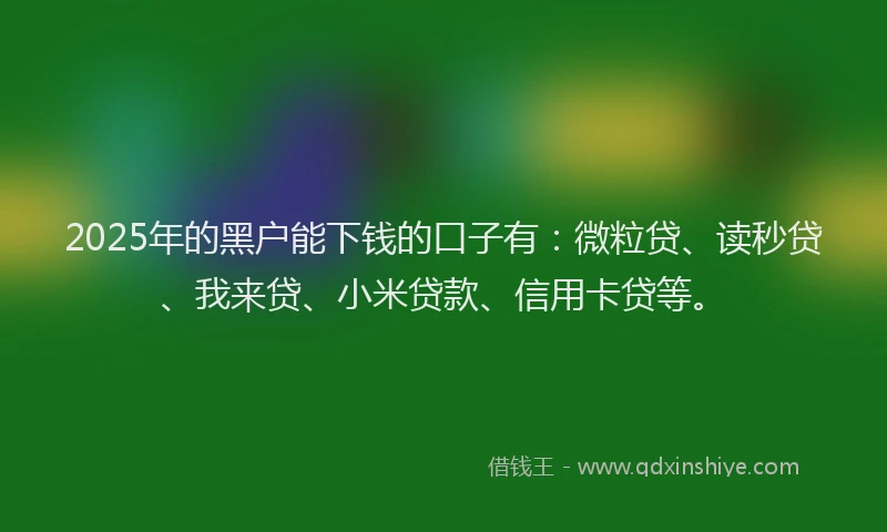 2025年的黑户能下钱的口子有：微粒贷、读秒贷、我来贷、小米贷款、信用卡贷等。
