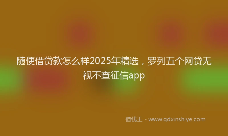 随便借贷款怎么样2025年精选，罗列五个网贷无视不查征信app