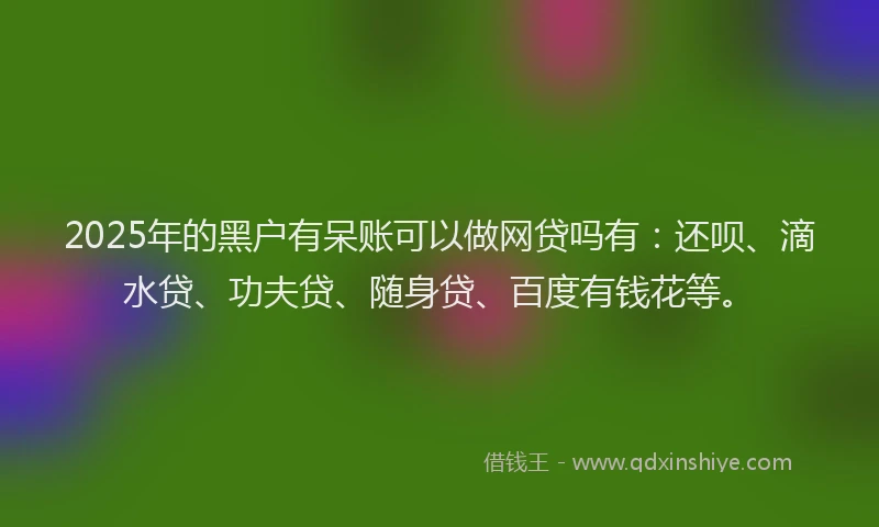 2025年的黑户有呆账可以做网贷吗有：还呗、滴水贷、功夫贷、随身贷、百度有钱花等。