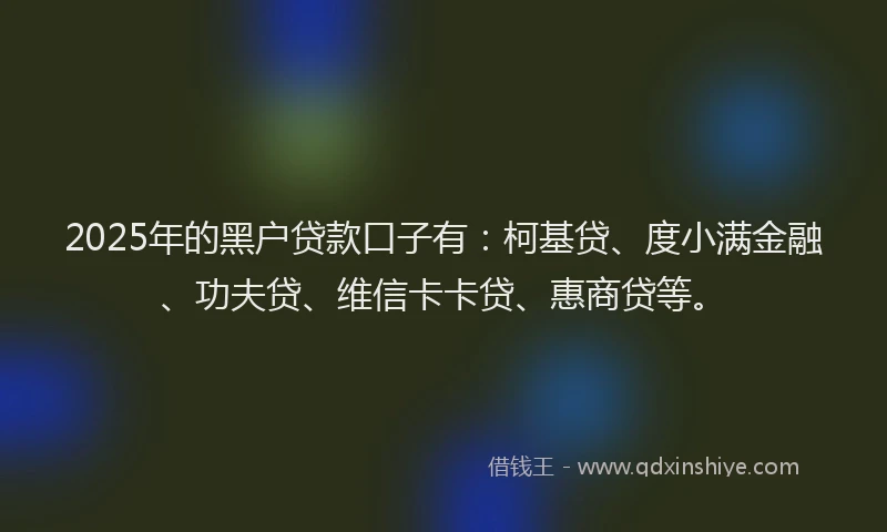 2025年的黑户贷款口子有：柯基贷、度小满金融、功夫贷、维信卡卡贷、惠商贷等。