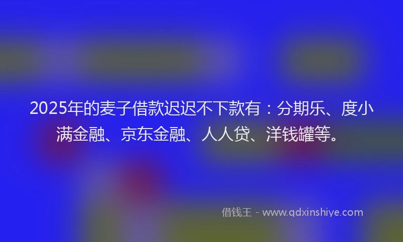 2025年的麦子借款迟迟不下款有：分期乐、度小满金融、京东金融、人人贷、洋钱罐等。