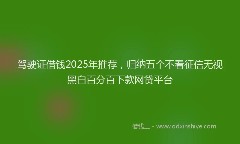 驾驶证借钱2025年推荐，归纳五个不看征信无视黑白百分百下款网贷平台