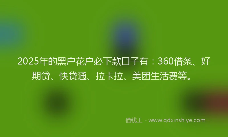 2025年的黑户花户必下款口子有：360借条、好期贷、快贷通、拉卡拉、美团生活费等。