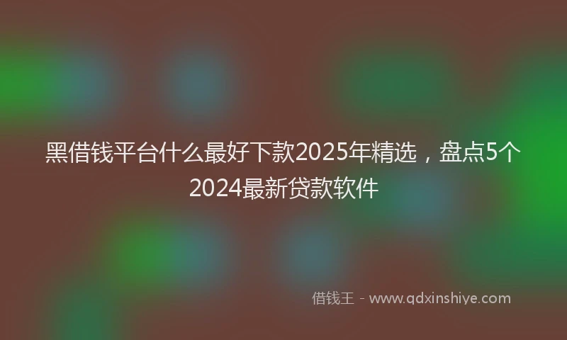 黑借钱平台什么最好下款2025年精选，盘点5个2024最新贷款软件