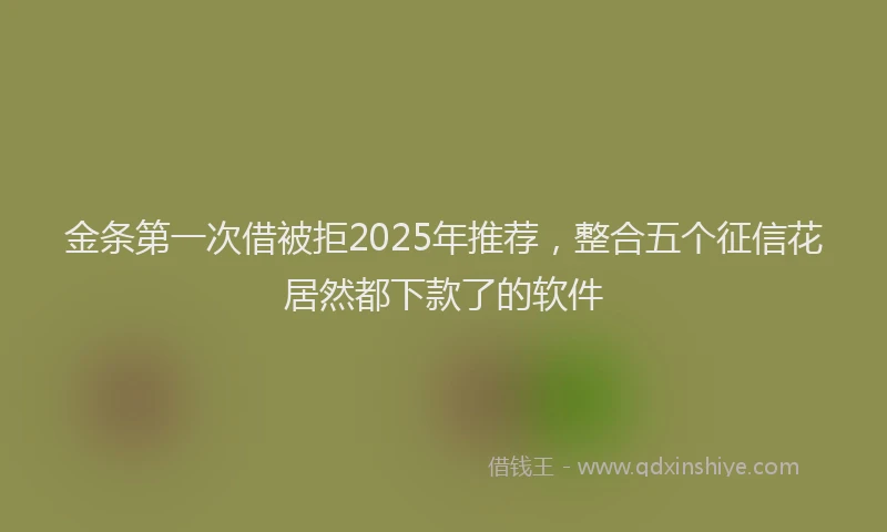金条第一次借被拒2025年推荐，整合五个征信花居然都下款了的软件