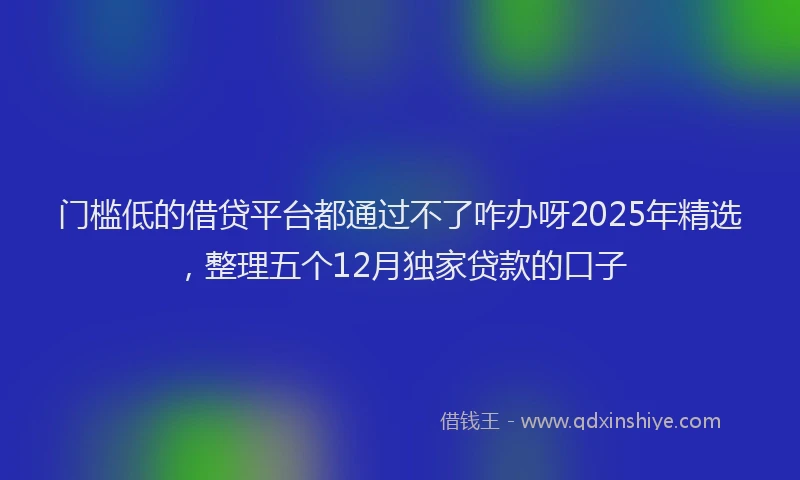 门槛低的借贷平台都通过不了咋办呀2025年精选，整理五个12月独家贷款的口子