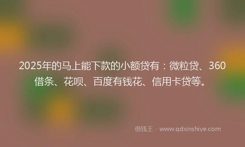 2025年的马上能下款的小额贷有：微粒贷、360借条、花呗、百度有钱花、信用卡贷等。