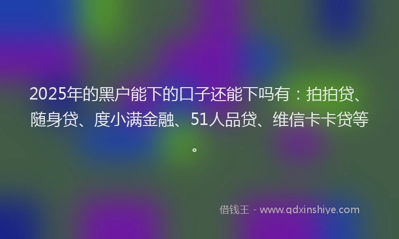 2025年的黑户能下的口子还能下吗有：拍拍贷、随身贷、度小满金融、51人品贷、维信卡卡贷等。