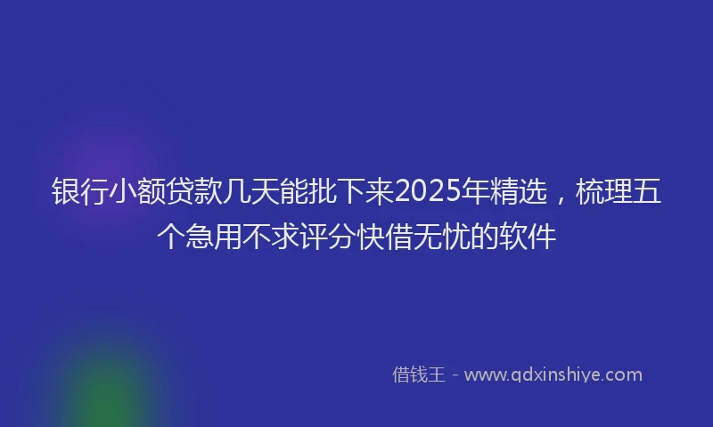 银行小额贷款几天能批下来2025年精选，梳理五个急用不求评分快借无忧的软件