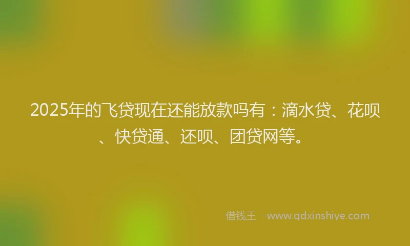 2025年的飞贷现在还能放款吗有：滴水贷、花呗、快贷通、还呗、团贷网等。