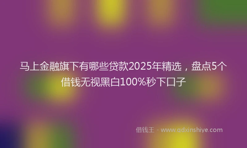 马上金融旗下有哪些贷款2025年精选，盘点5个借钱无视黑白100%秒下口子