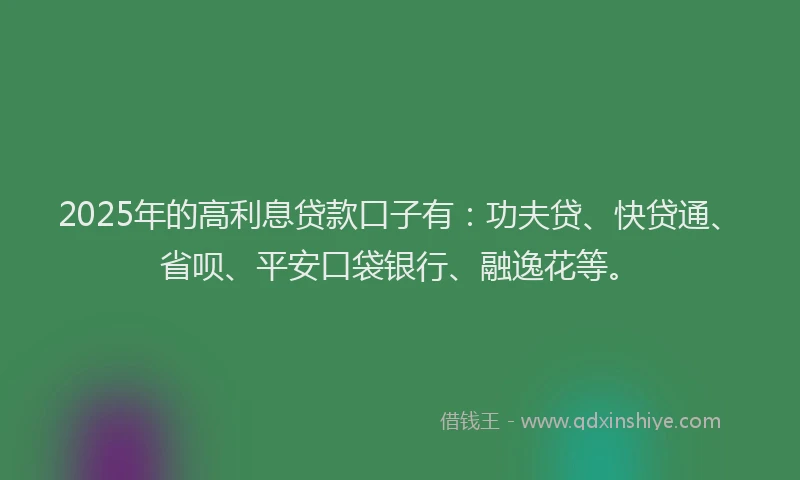 2025年的高利息贷款口子有：功夫贷、快贷通、省呗、平安口袋银行、融逸花等。