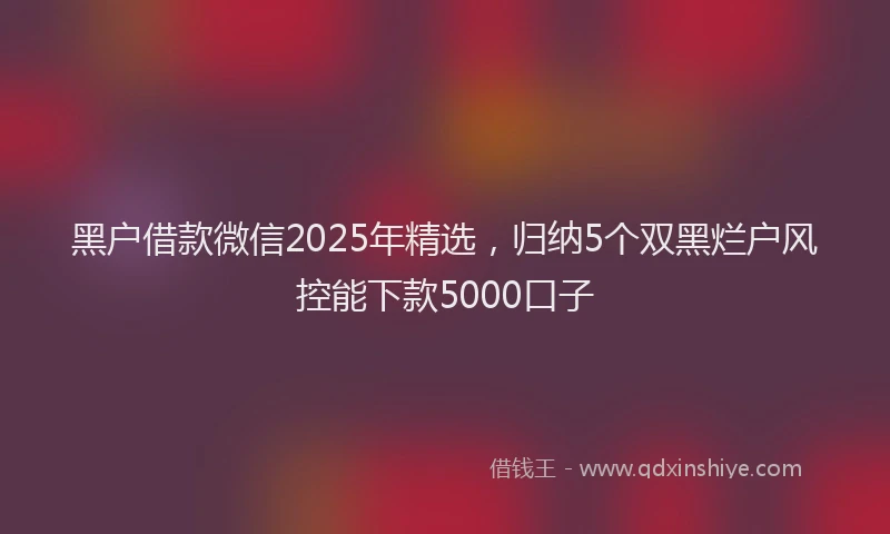 黑户借款微信2025年精选，归纳5个双黑烂户风控能下款5000口子