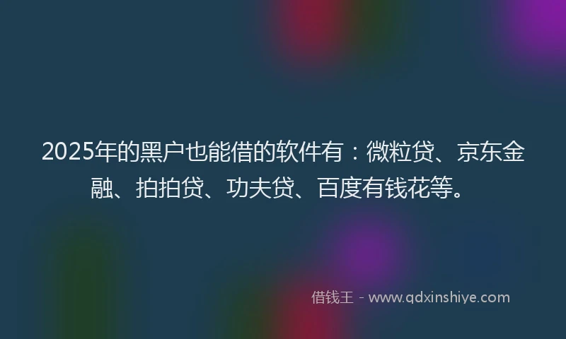2025年的黑户也能借的软件有：微粒贷、京东金融、拍拍贷、功夫贷、百度有钱花等。