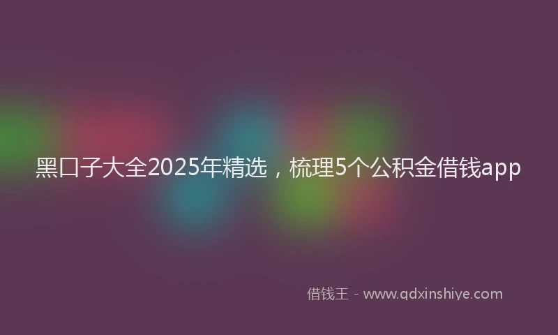 黑口子大全2025年精选，梳理5个公积金借钱app
