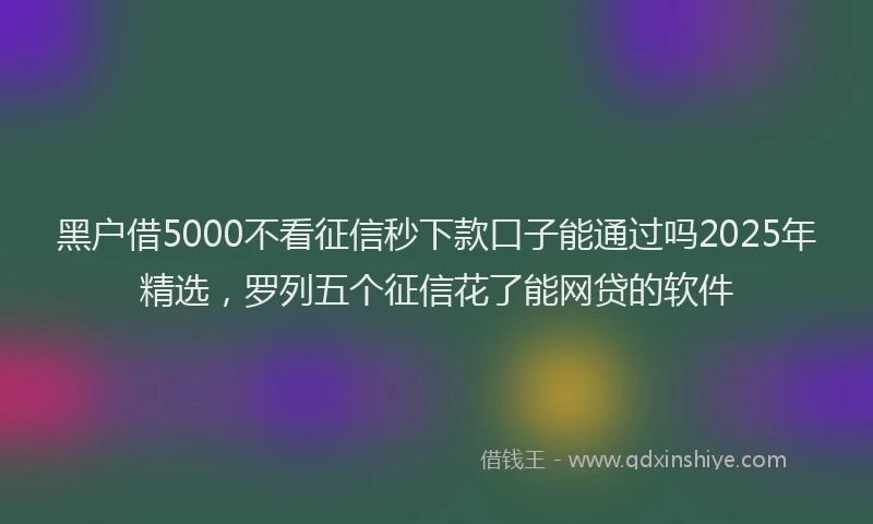 黑户借5000不看征信秒下款口子能通过吗2025年精选，罗列五个征信花了能网贷的软件