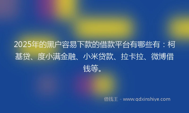 2025年的黑户容易下款的借款平台有哪些有：柯基贷、度小满金融、小米贷款、拉卡拉、微博借钱等。