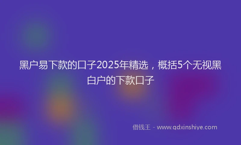 黑户易下款的口子2025年精选，概括5个无视黑白户的下款口子
