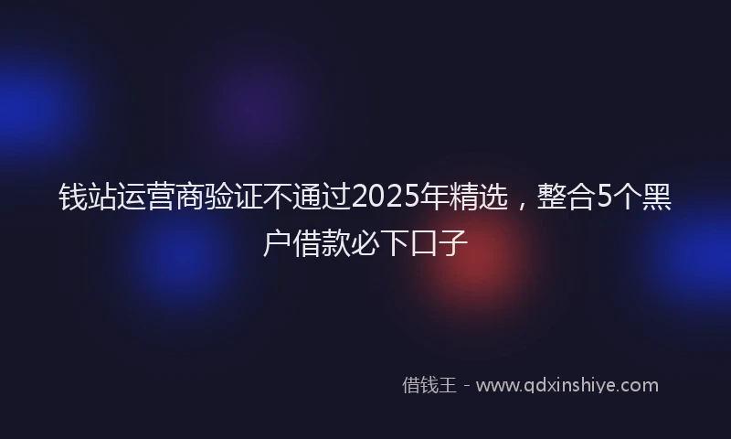 钱站运营商验证不通过2025年精选，整合5个黑户借款必下口子