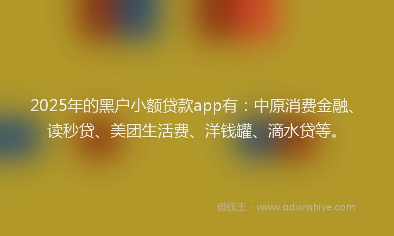 2025年的黑户小额贷款app有：中原消费金融、读秒贷、美团生活费、洋钱罐、滴水贷等。